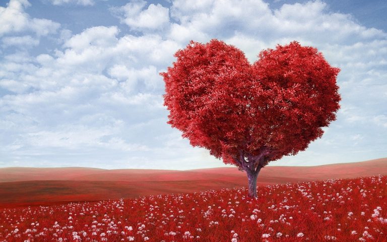 Six Ways to Make Your Customer Service Agents Love Their Jobs
