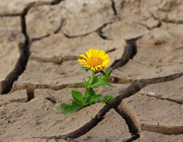 Coronavirus: Coping with Anxiety