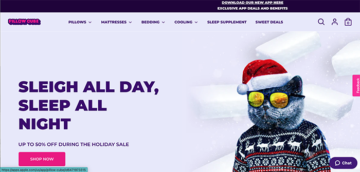 Festive Website example 